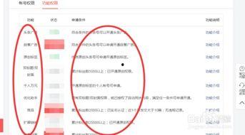 头条怎么设置账户权限,轻松掌握账户管理权限