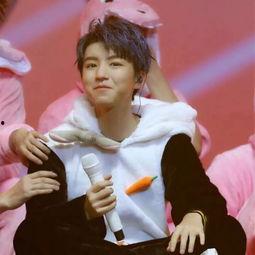 什么明星家庭背景好,揭秘背景显赫的明星世家