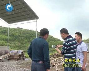 新昌吃瓜最新事件爆料新闻,揭秘背后惊人真相