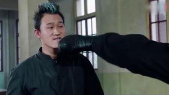 谢文东在线观看,传奇黑帮风云录