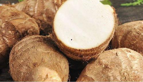 吃白玉瓜视频,口感与营养的双重享受