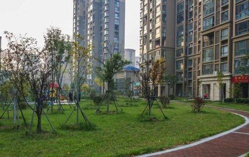 明星同一个小区,揭秘XX小区的璀璨星光与温馨生活”