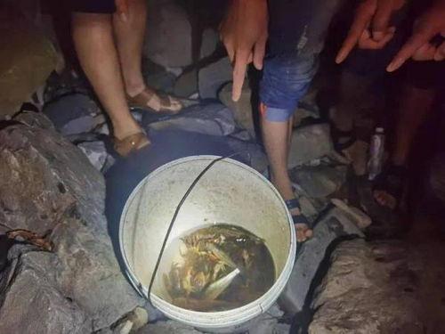 奉节吃瓜事件始末视频,一场网络热议背后的真相揭秘