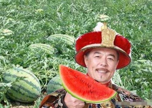 乾隆南巡路边吃瓜,一场皇家与民间的小憩奇遇